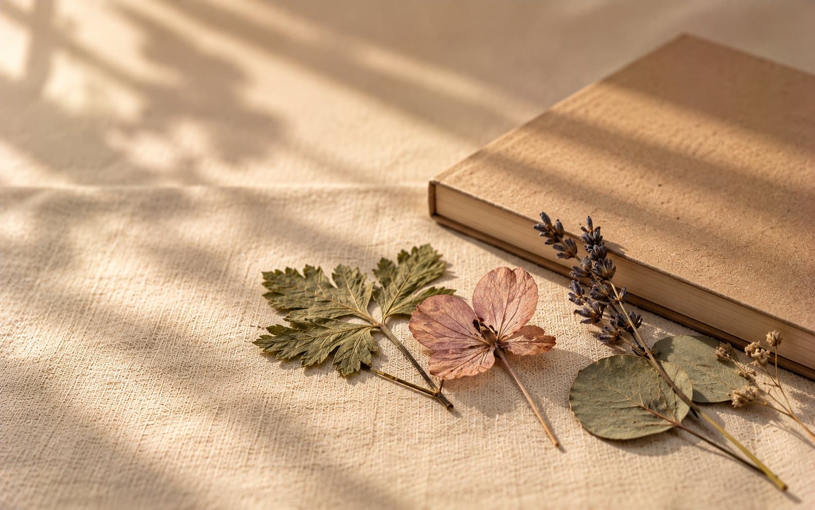 Pressed botanical specimens resting beside a closed notebook on linen.