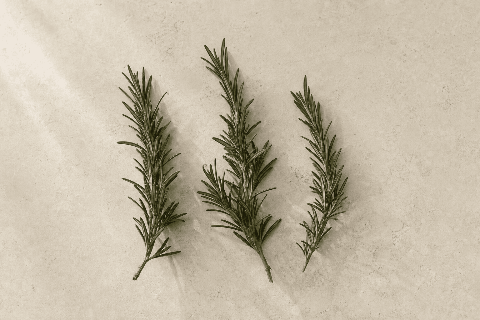 A small amber jar of rosemary sprigs on a pale stone surface.